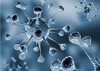 威客电竞体内体外药效试验顺遂通过药监局审查