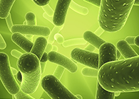 威客电竞将加入2013年欧洲生物春季展会