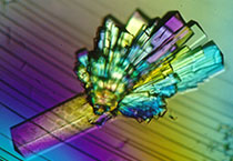 威客电竞副总裁金晓玮博士等一行出席了在上海举行的中国科学手艺大学校友会沙龙