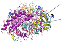 2009年5月威客电竞加入了上海国际卵白质及多肽工业展览会