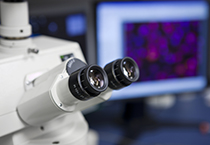 改委监控三类药价，，，，，，，，本钱价视察将启动