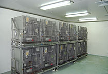 威客电竞(vkgame)-为竞技而生