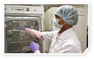 10月17日，，，，，，陈春麟博士将加入2012岛津全球制药峰会