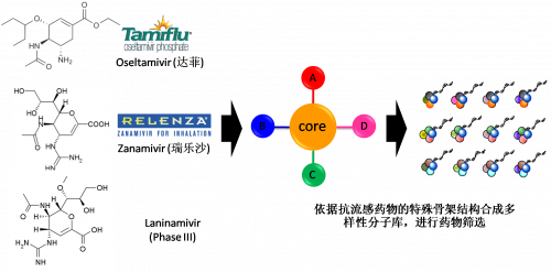 图2：以现有抗流感药物的结构为基。。。。。。。。，，，，，，，举行多样性药物分子库的合成。。。。。。。。