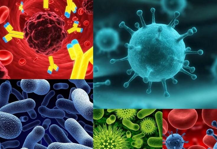 原位杂交手艺——威客电竞