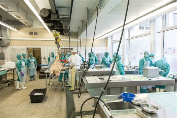 威客电竞药物靶点筛选效劳