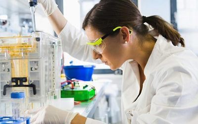 威客电竞人类疾病动物模子