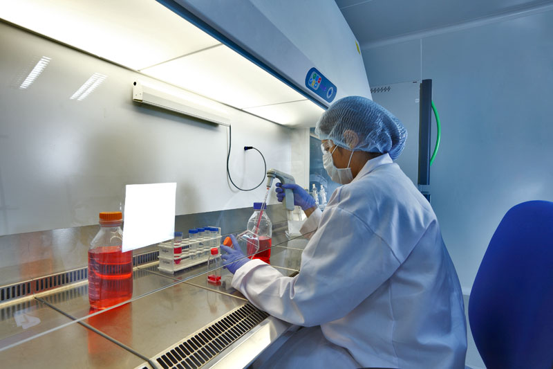 2015年药品特殊审评数据剖析：哪些新药搭上了快车？？？？？？