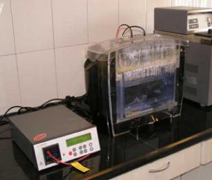 威客电竞(vkgame)-为竞技而生