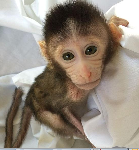 威客电竞(vkgame)-为竞技而生