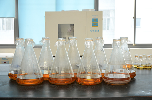 威客电竞制剂中心GMP中试车间完工