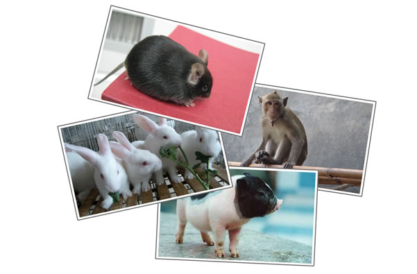 威客电竞(vkgame)-为竞技而生