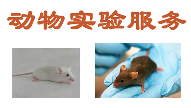 威客电竞动物实验外包效劳