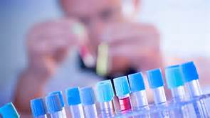 威客电竞(vkgame)-为竞技而生