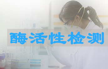 威客电竞酶活性测定效劳