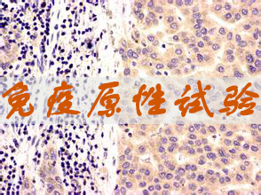 威客电竞免疫原性试验效劳