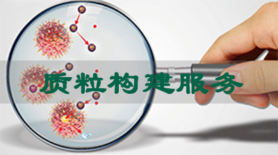 威客电竞质粒构建效劳