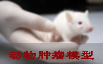 威客电竞肿瘤模子建设效劳