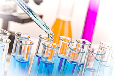 威客电竞生物实验