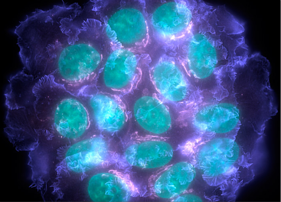 威客电竞(vkgame)-为竞技而生