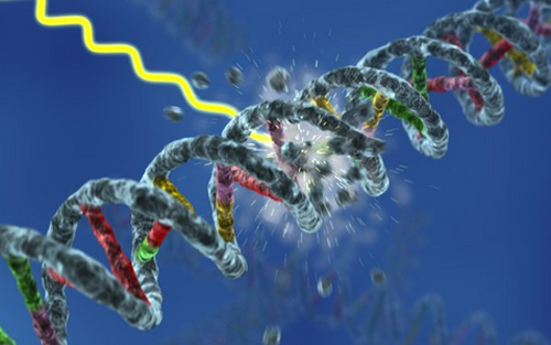 威客电竞(vkgame)-为竞技而生