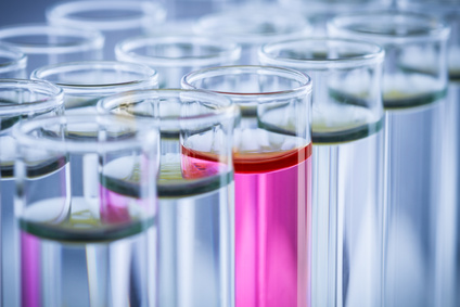 下一家引疯抢的生物手艺公司是谁？？？？？？？