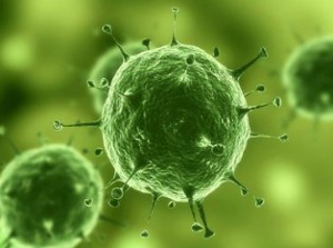 Nature：治疗实体瘤有了明确靶标，，，，，，肿瘤干细胞确实保存