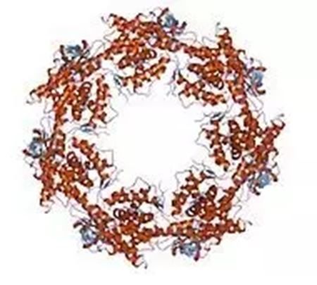 威客电竞(vkgame)-为竞技而生