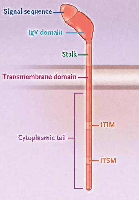 威客电竞(vkgame)-为竞技而生