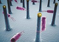 未来的药丸里，，，，，，可能有一万亿小我私家工刷新的细菌？？？？？？？？