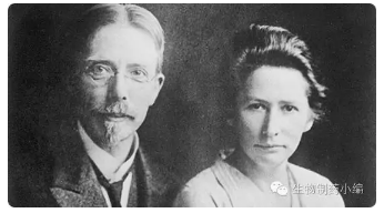 威客电竞(vkgame)-为竞技而生