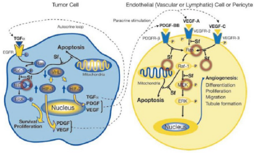 多靶点药物：立异药物设计的主要思绪