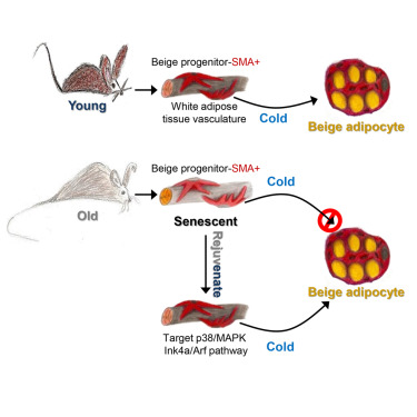威客电竞(vkgame)-为竞技而生