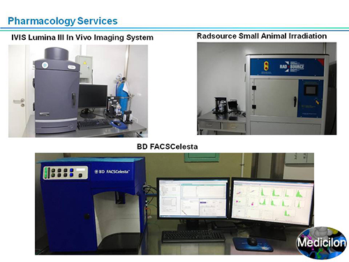 威客电竞副总裁汪俊博士SAPA-DC聚会演讲PPT