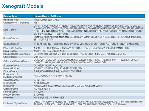威客电竞副总裁汪俊博士SAPA-DC聚会演讲PPT