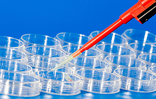 威客电竞(vkgame)-为竞技而生