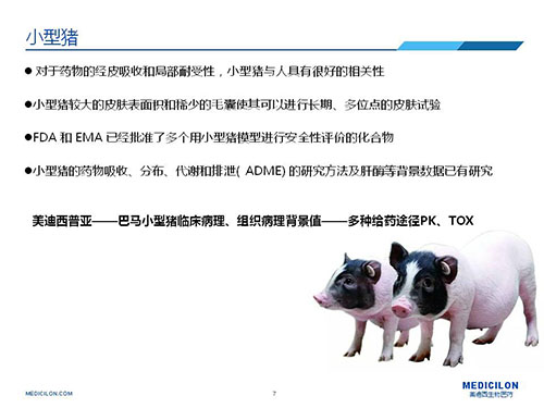 皮肤涂抹试验中，，，，，，受试动物选择小型猪更好