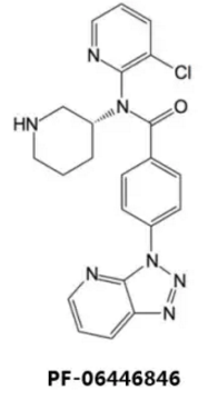 威客电竞(vkgame)-为竞技而生