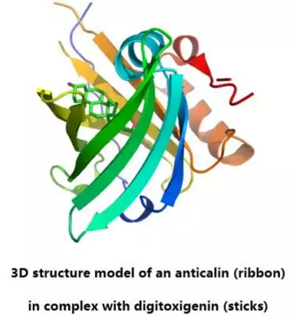 威客电竞(vkgame)-为竞技而生