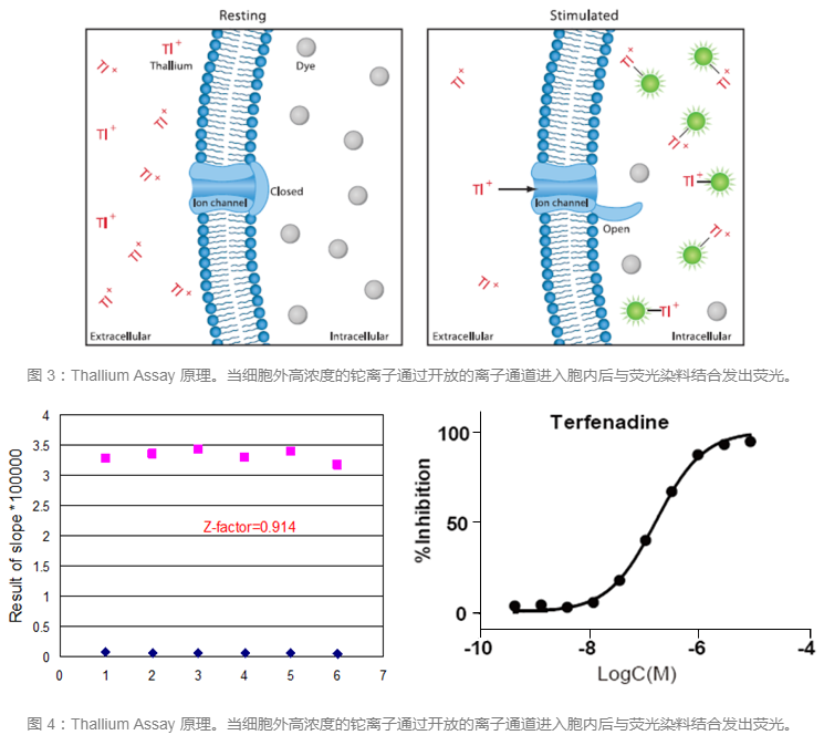 威客电竞(vkgame)-为竞技而生