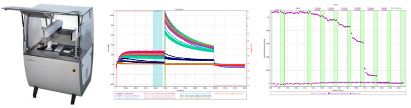 威客电竞(vkgame)-为竞技而生
