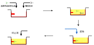 威客电竞(vkgame)-为竞技而生