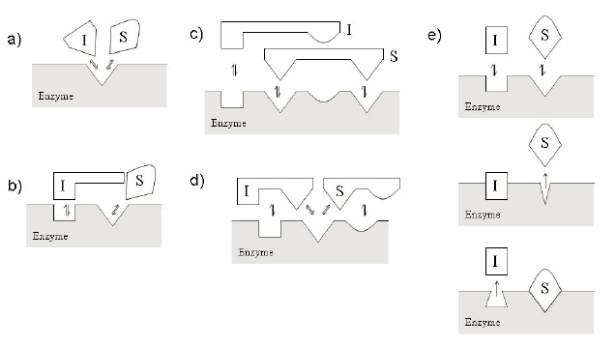 威客电竞(vkgame)-为竞技而生