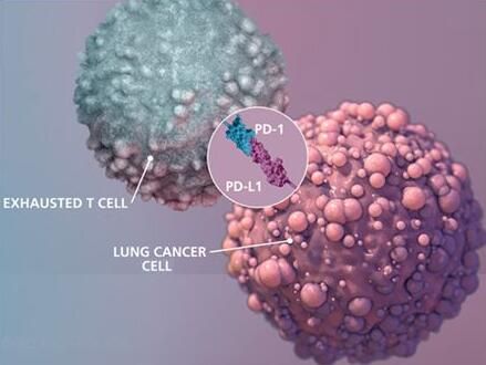 威客电竞(vkgame)-为竞技而生