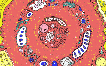 威客电竞(vkgame)-为竞技而生