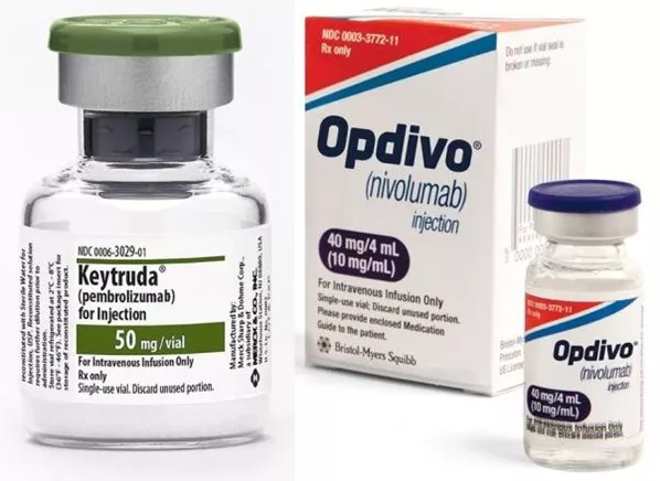 威客电竞(vkgame)-为竞技而生