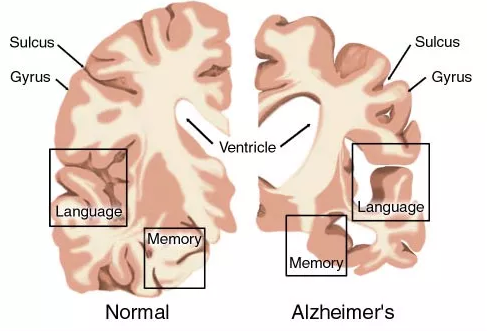 威客电竞(vkgame)-为竞技而生