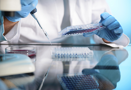 289目录海内特有品种一致性评价抱团才有戏？？？？？