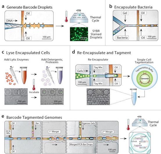 威客电竞(vkgame)-为竞技而生