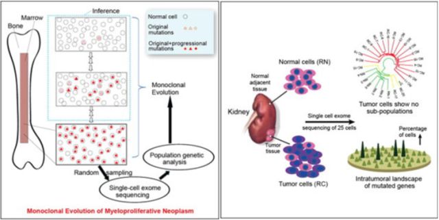 威客电竞(vkgame)-为竞技而生
